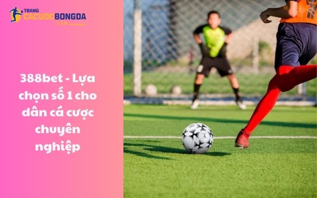 388bet - Lựa chọn số 1 cho dân cá cược chuyên nghiệp