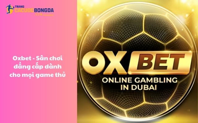Oxbet - Sân chơi đẳng cấp dành cho mọi cược thủ