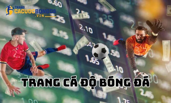 Về chúng tôi - Trang cá cược bóng đá điểm đến uy tín cho Thông tin về Trang cá cược bóng đá